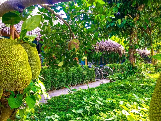 Phía Sau Nhà: Những Điều Cần Lưu Ý Phong Thuỷ Để Gia Đình Hưng Thịnh